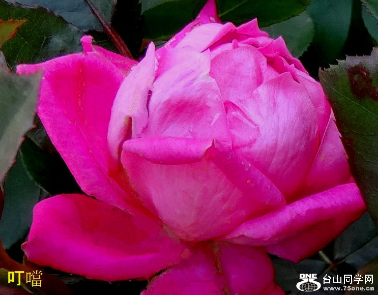 228_36000_10e800bcabfceba.jpg