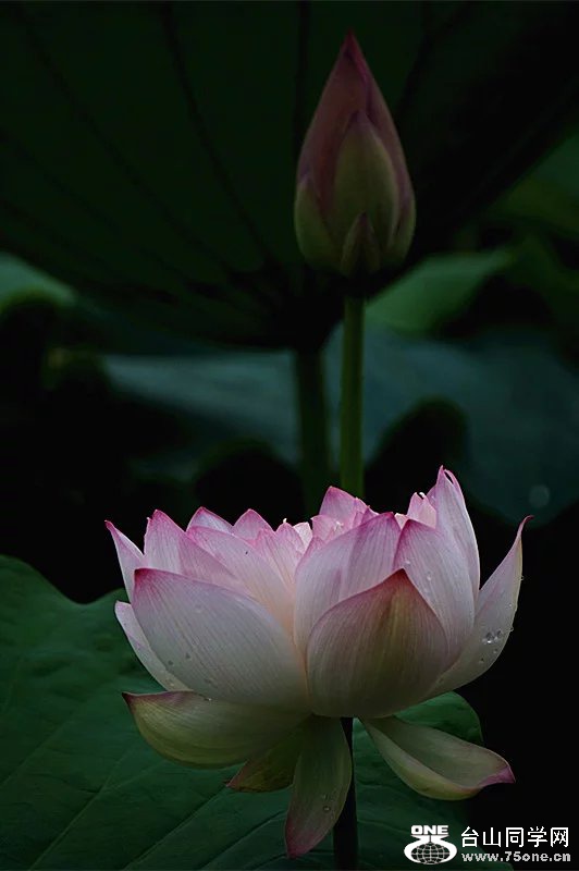psb (23).jpg