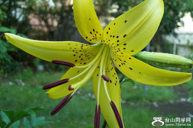 88_2492_7ebb0a154145df1.jpg