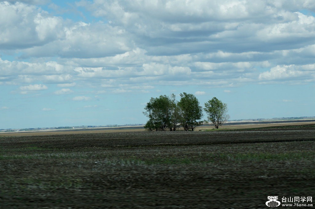 DSC01796.JPG