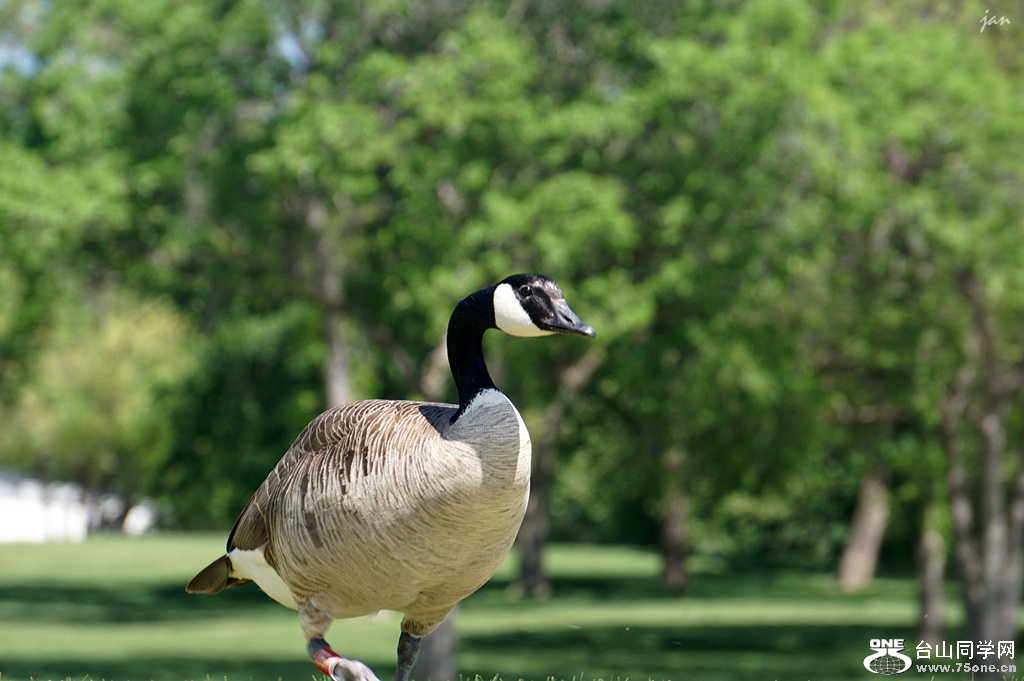 DSC01756_.jpg