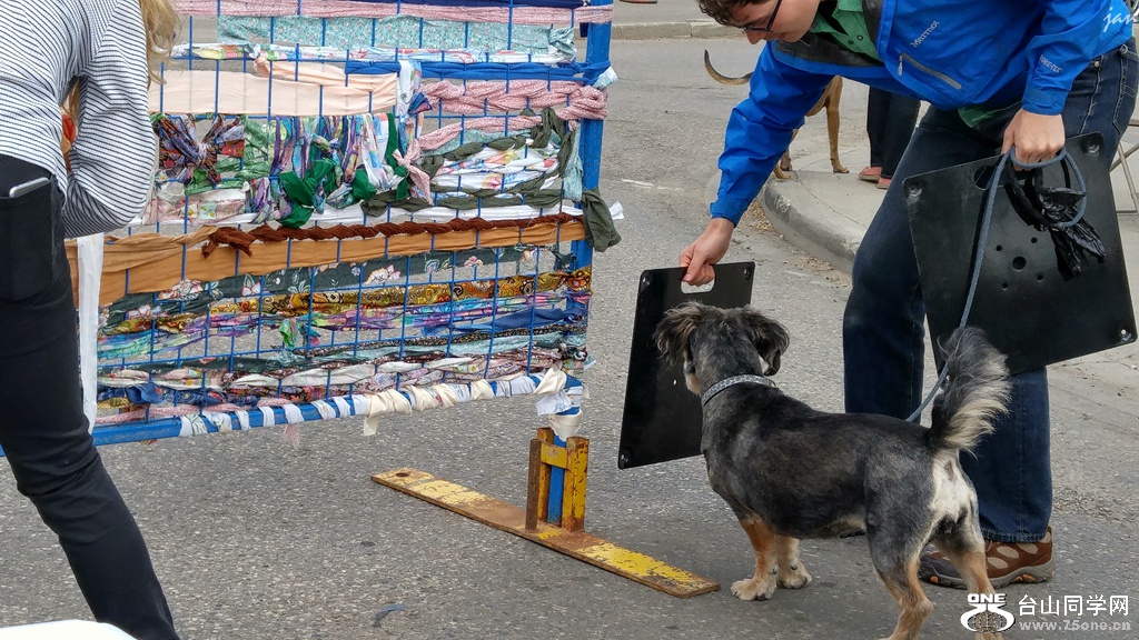 20160528_125829_HDR.jpg