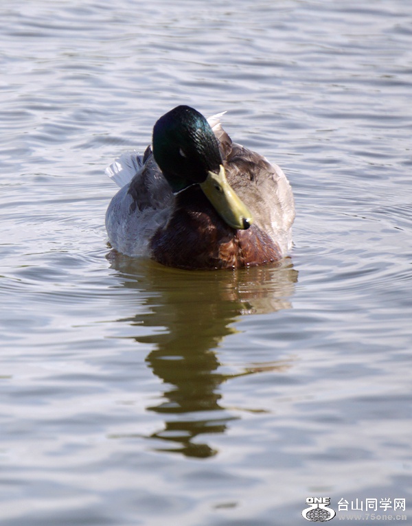 DSC01734.JPG