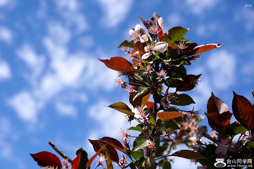 DSC01759_.jpg
