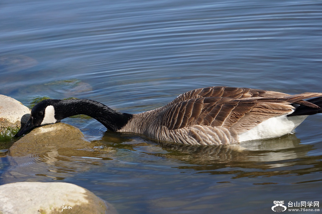 DSC01740_.jpg