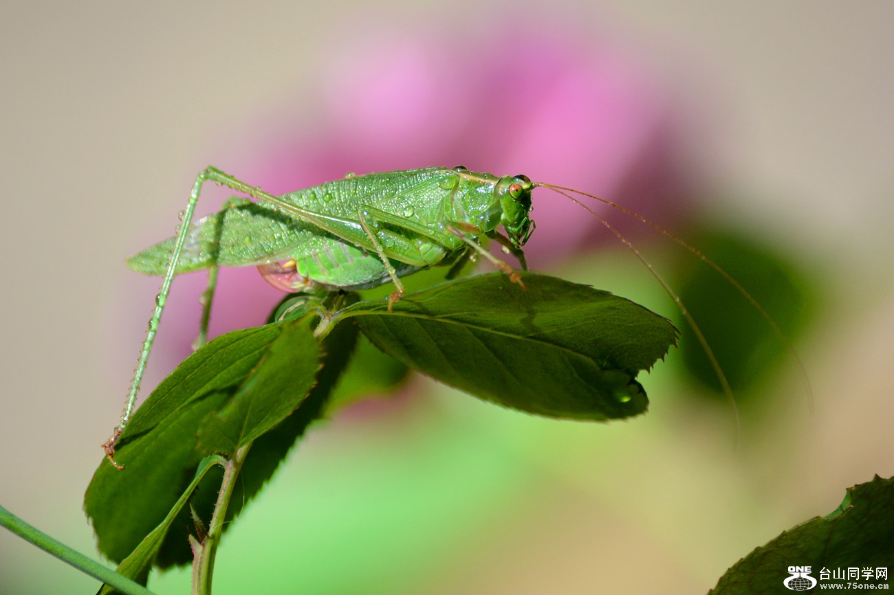 DSC_8967_26.jpg