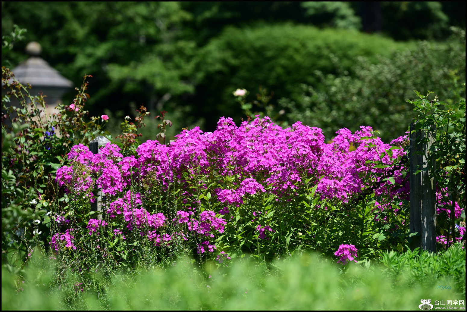 DSC_3380.jpg