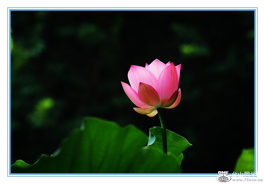 DPP_201.4.8-80431__.jpg