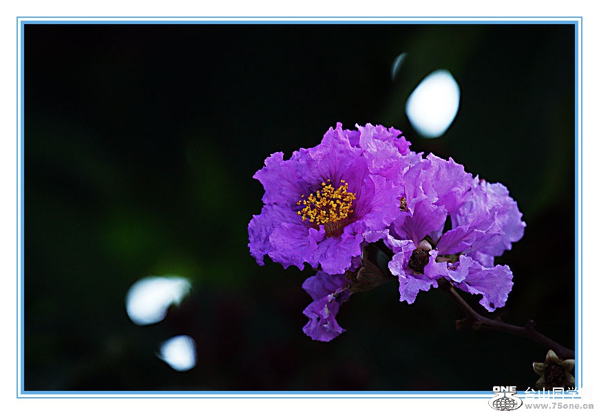 DPP_201.4.8-30356_.jpg