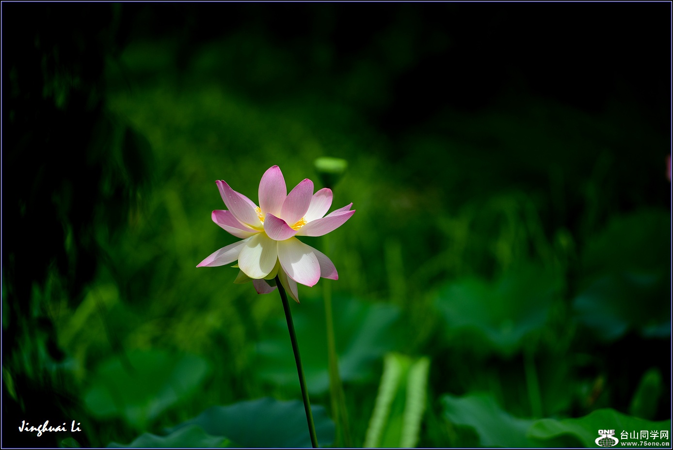 DSC_9863.jpg