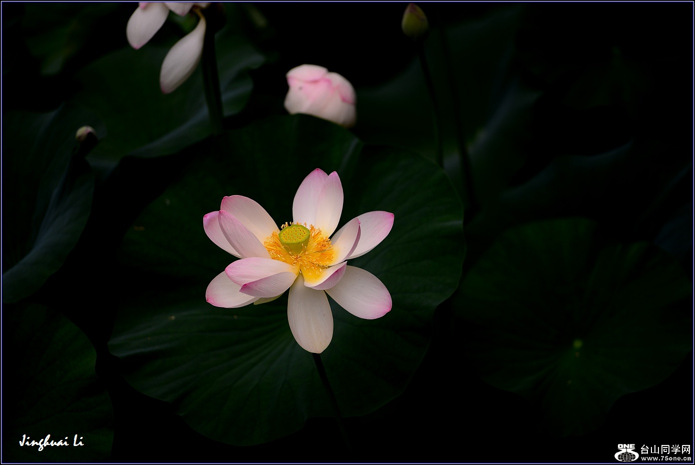 DSC_9932.jpg