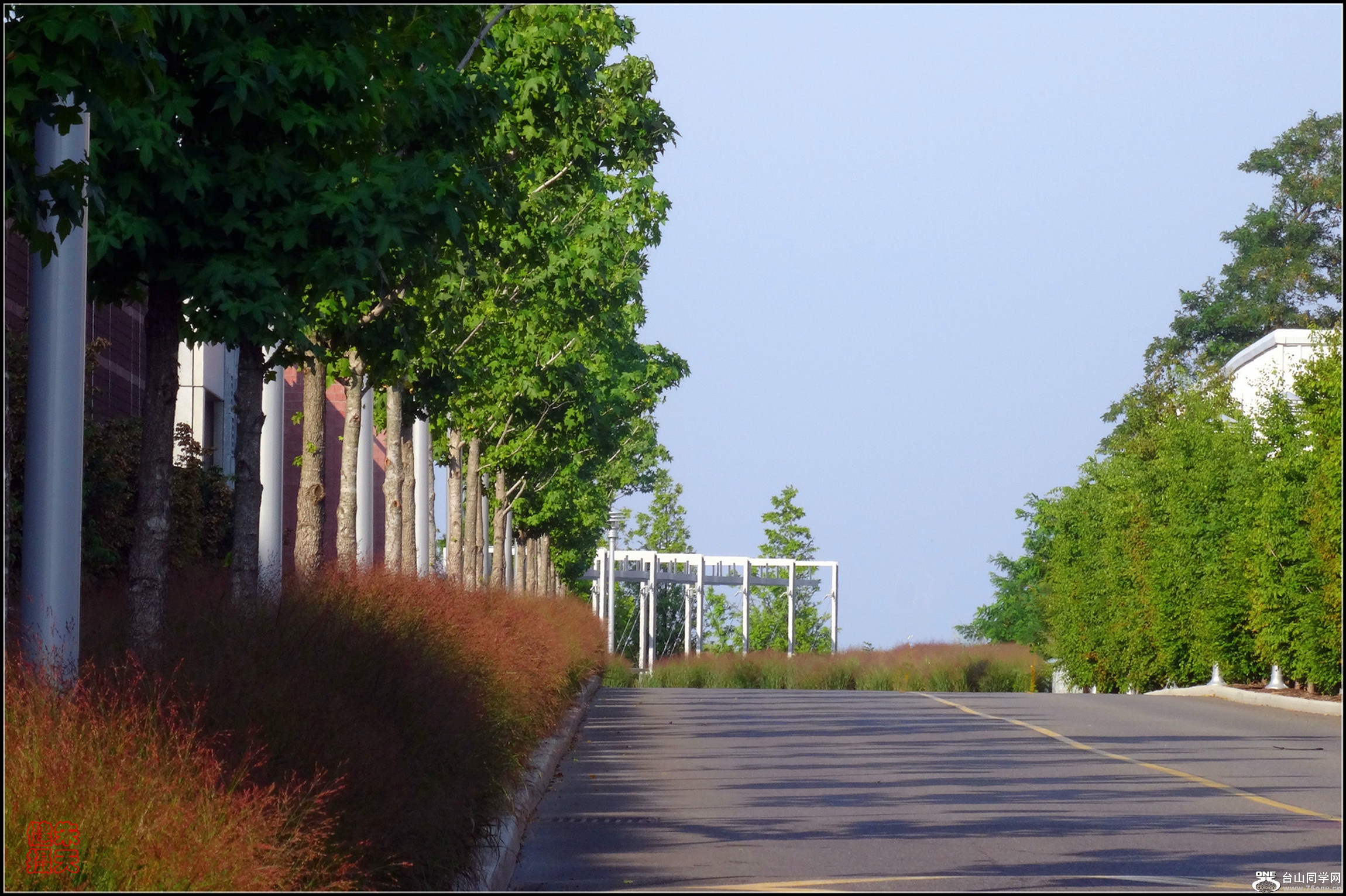 DSC00137_.jpg