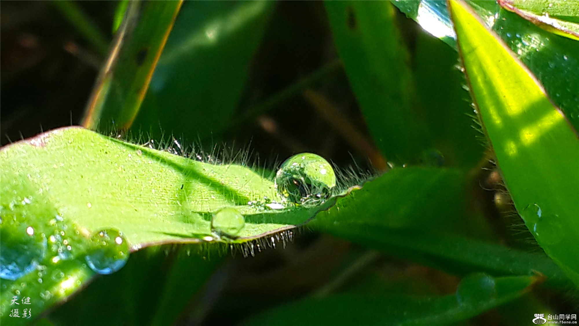 20160809_074039.jpg