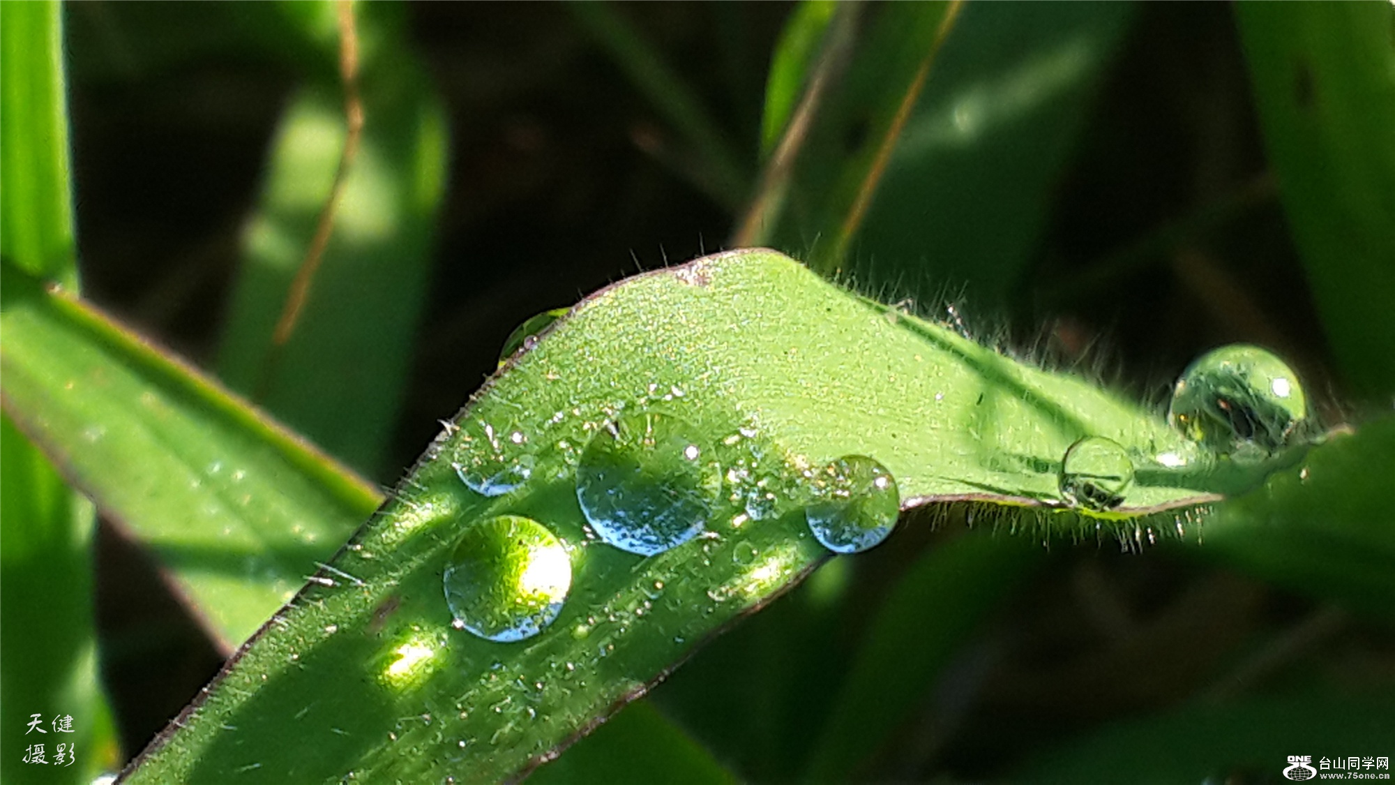 20160809_074035.jpg
