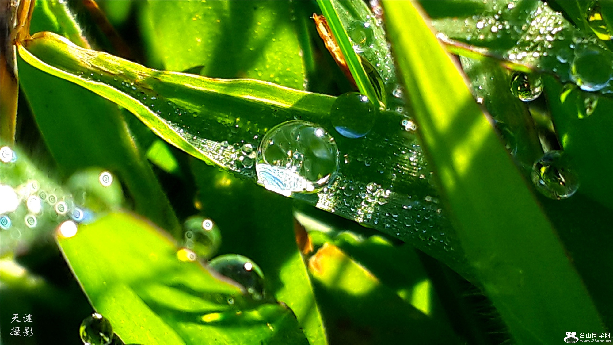 20160809_073851.jpg
