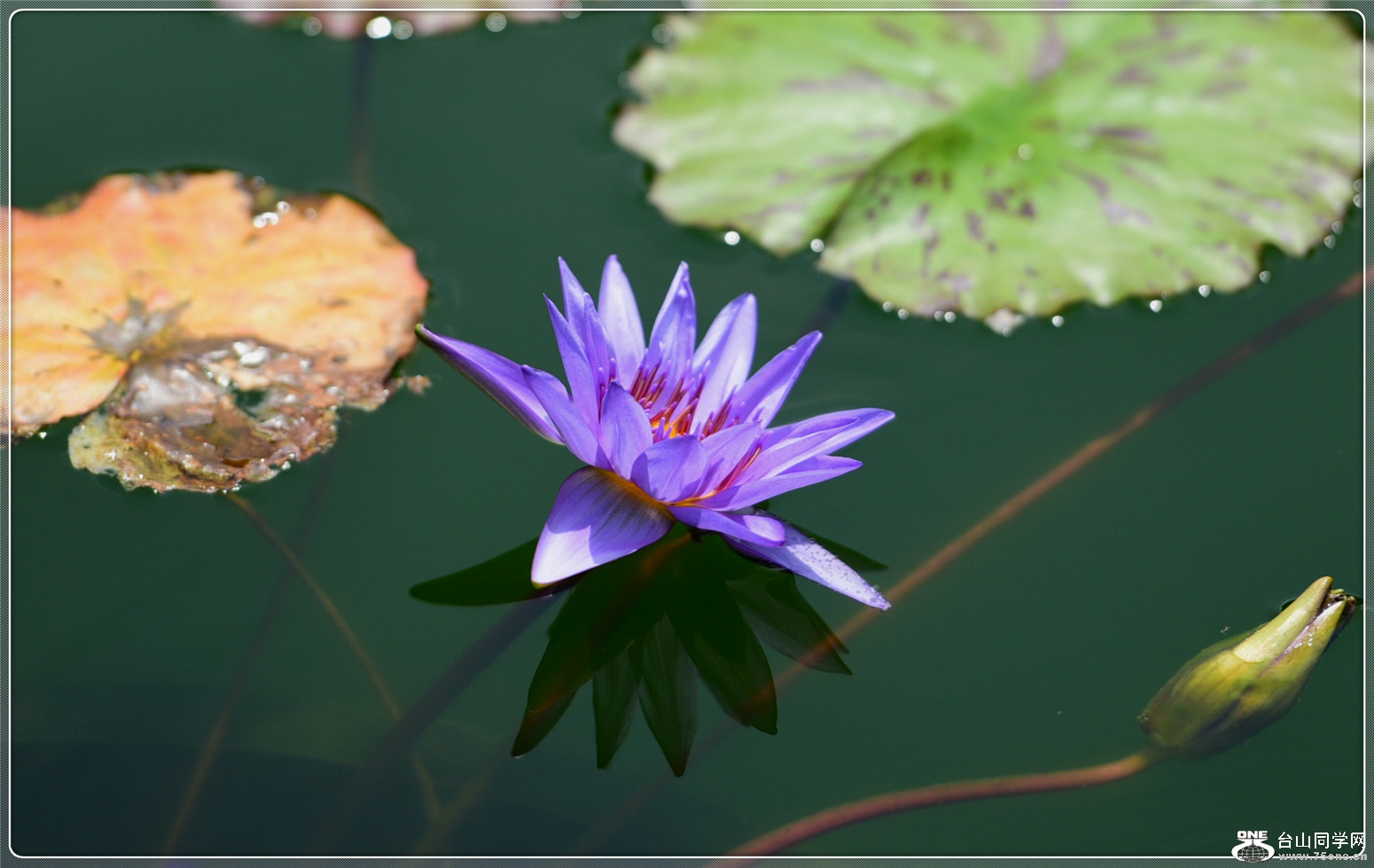 DSC_3136_meitu_61.jpg