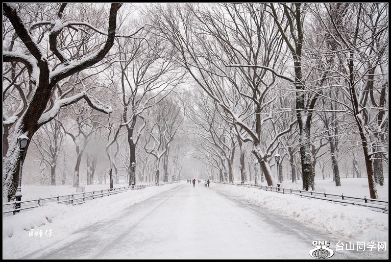 DSC_0382_.jpg