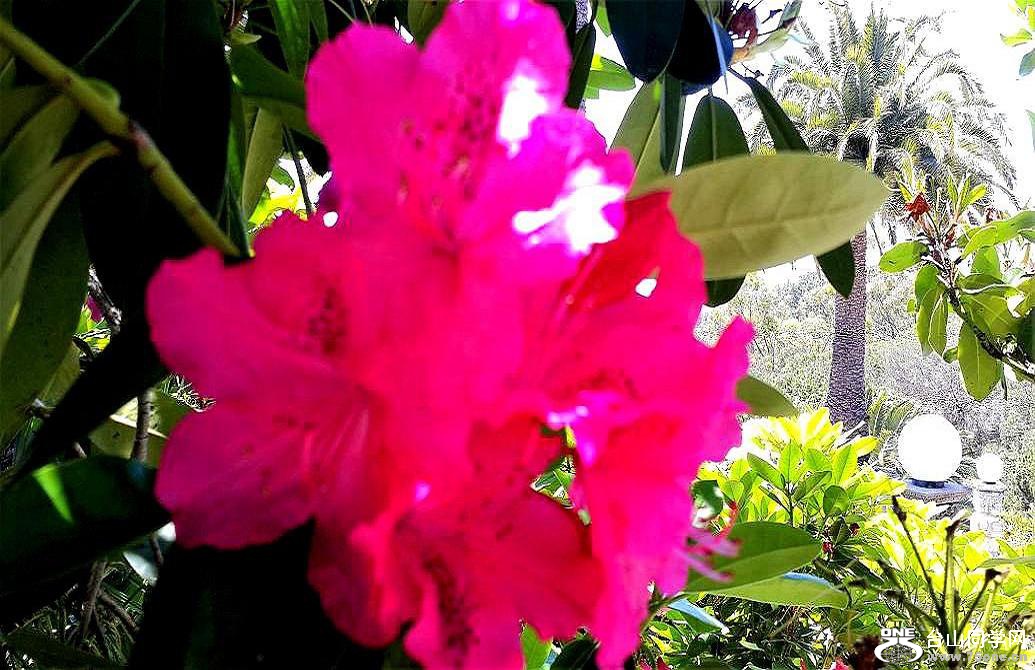 20160515_130829.jpg