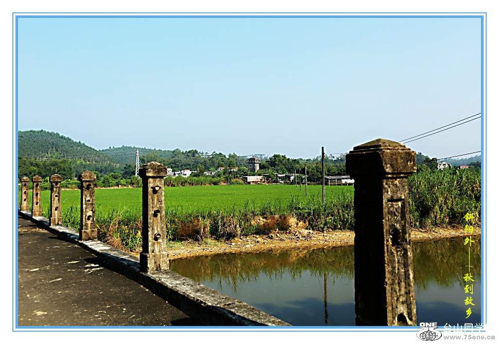 DPP_2016.8.150414_.jpg