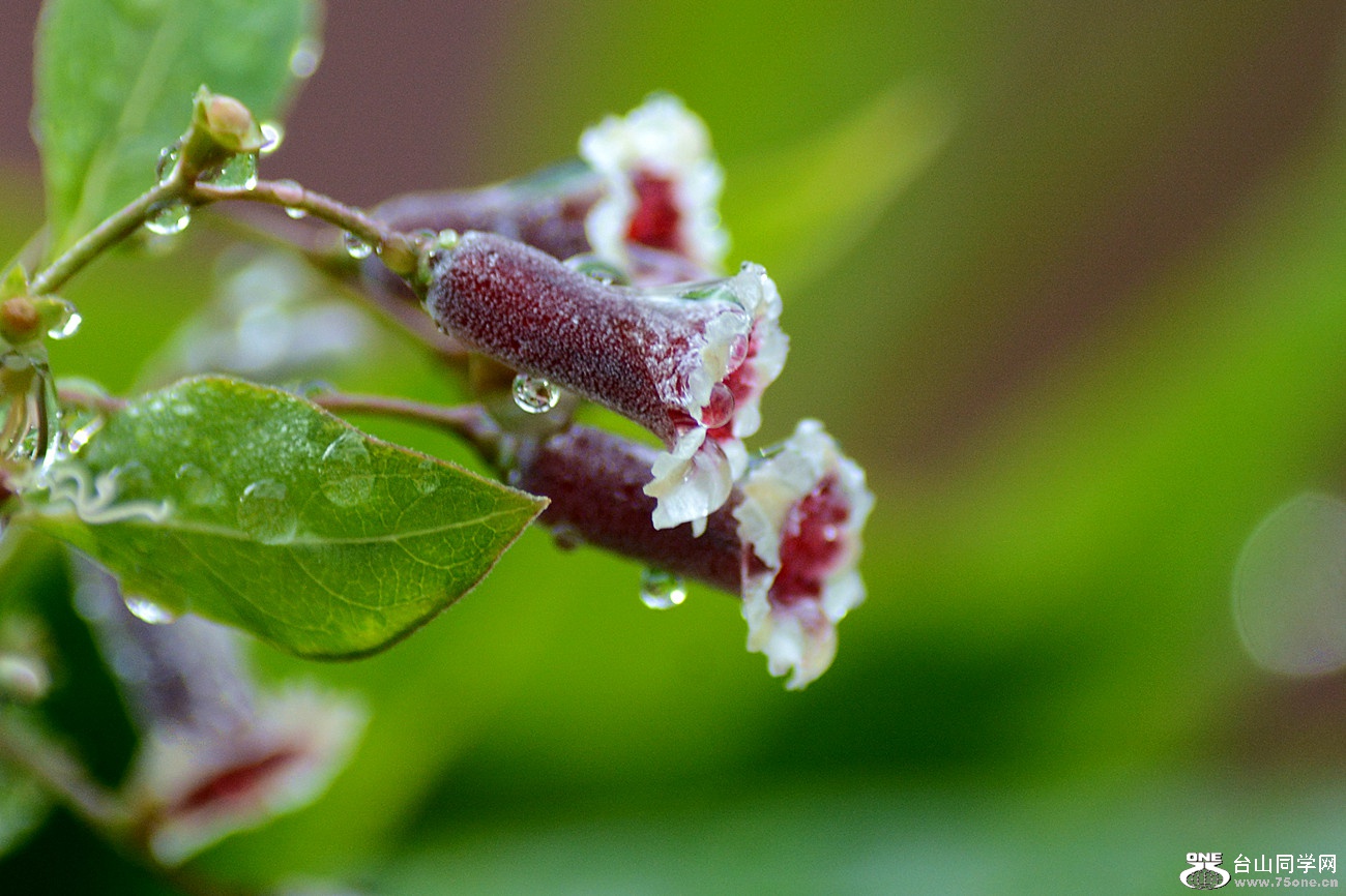 DSC_2655_10.jpg