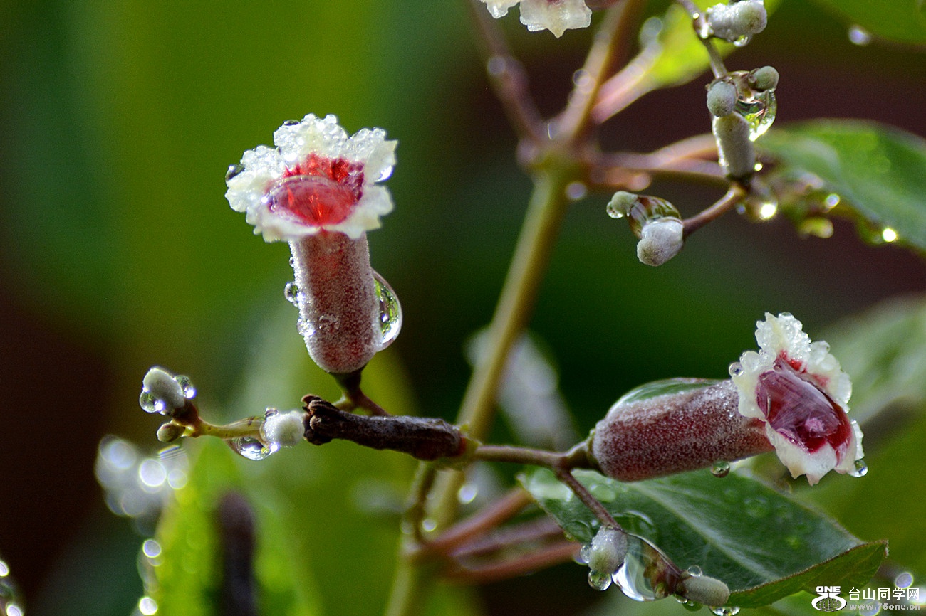 DSC_2640_6.jpg
