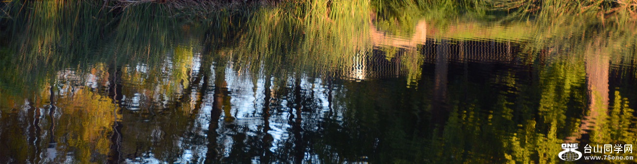 DSC_3427_48.jpg