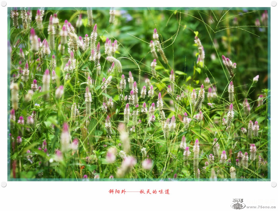 DPP_2016.8.160056_.jpg