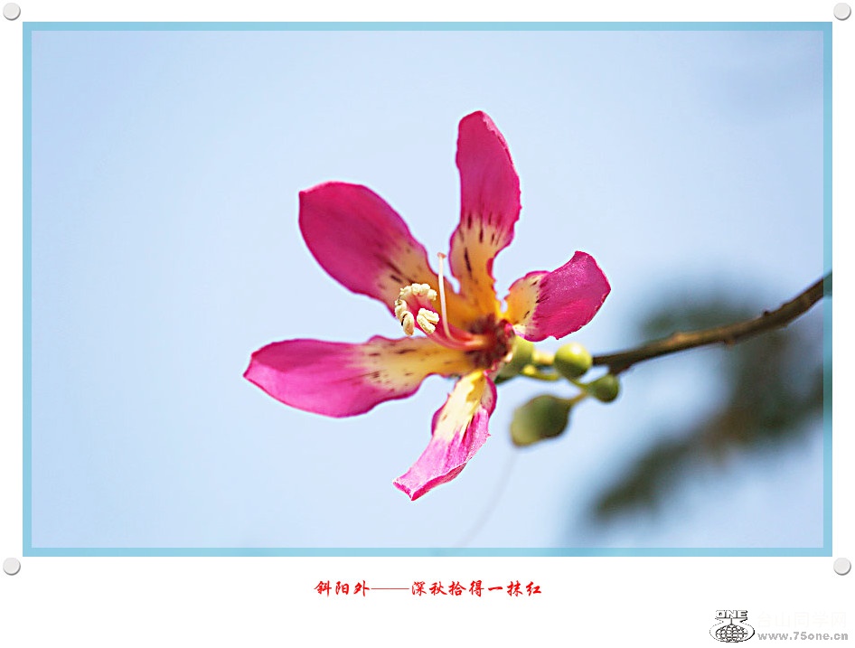 DPP_2016.8.160125_.jpg