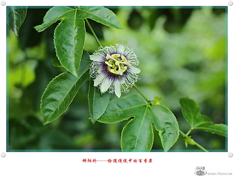 DPP_2016.10.7-10213_.jpg