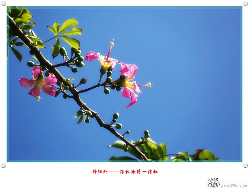 DPP_2016.8.160225_.jpg