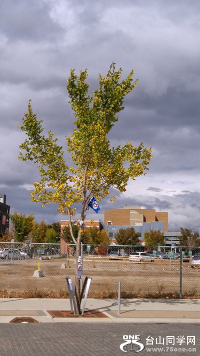 20160918_141856_HDR~2.jpg