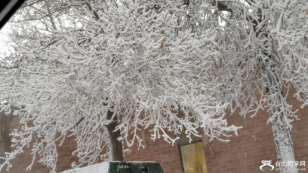 20161005_084209_HDR.jpg