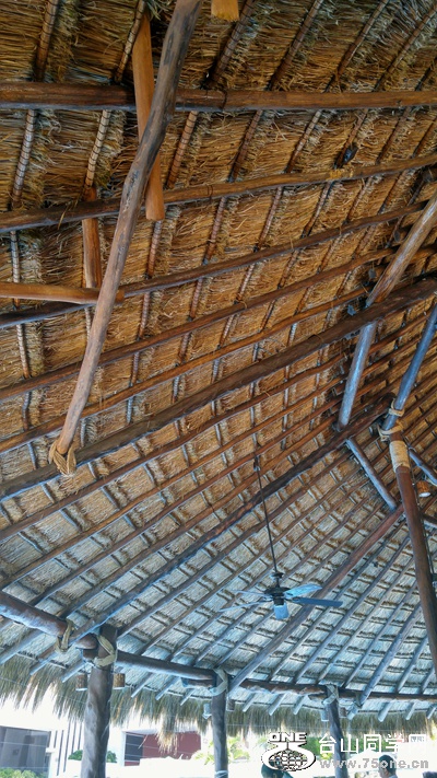 20160825_143101_HDR.jpg