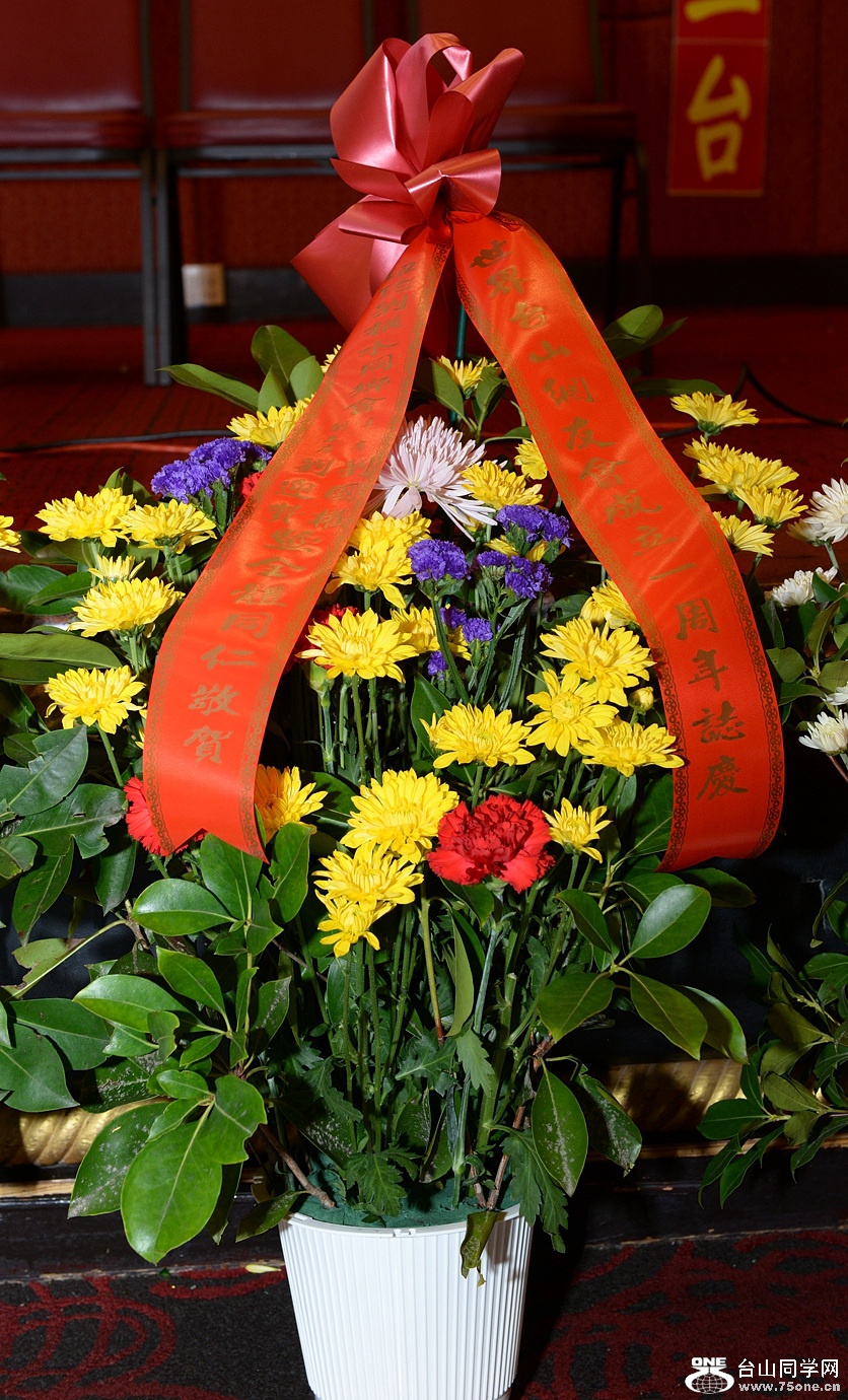 DSC_1598.jpg