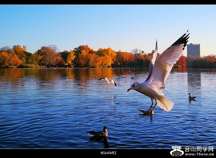 IMG_20161119_074623_1.jpg