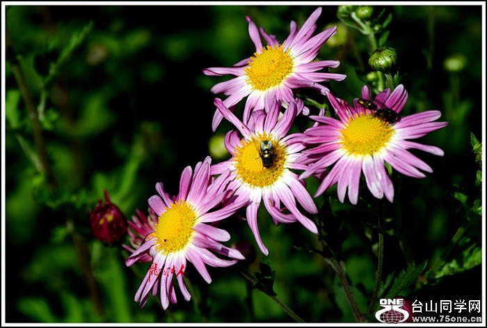 DSC_0880_.jpg