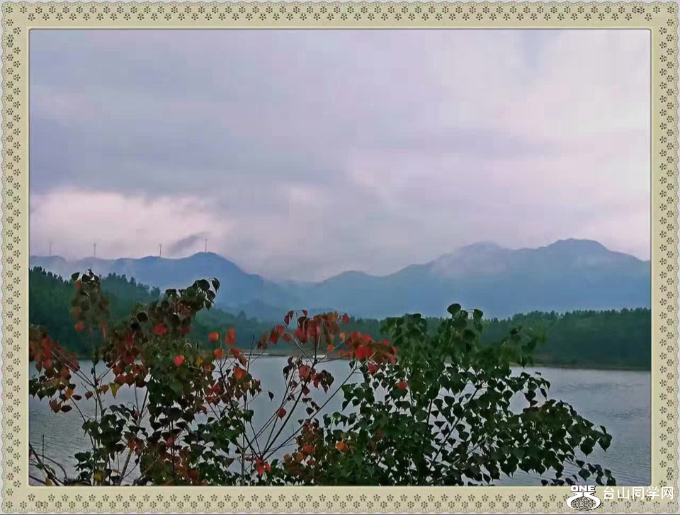 QQͼƬ20161226121348.jpg