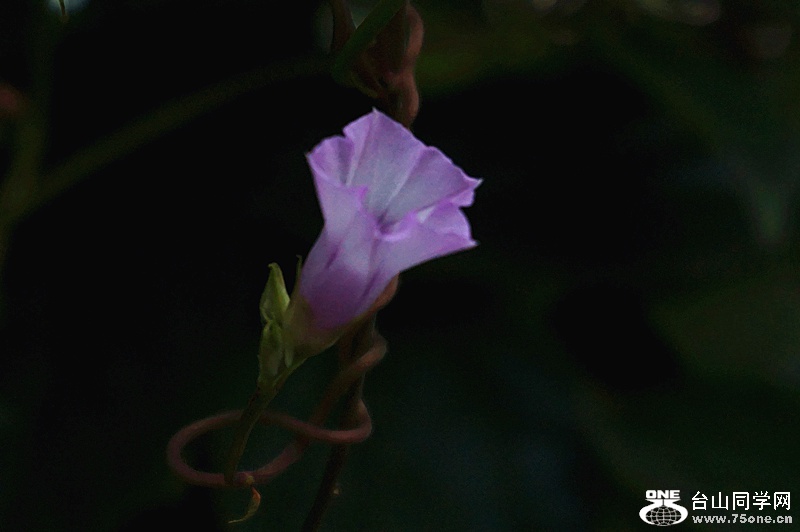 DSC08786.JPG