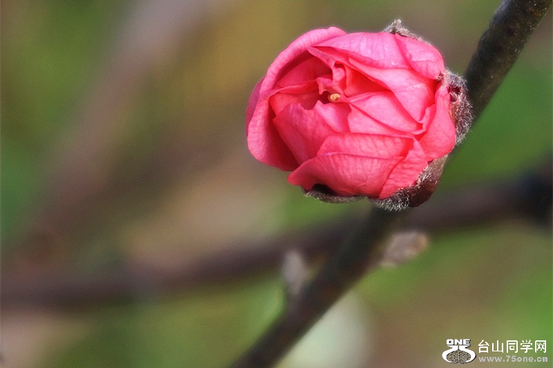 DSC00122.JPG