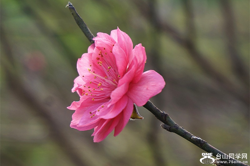 DSC00100.JPG