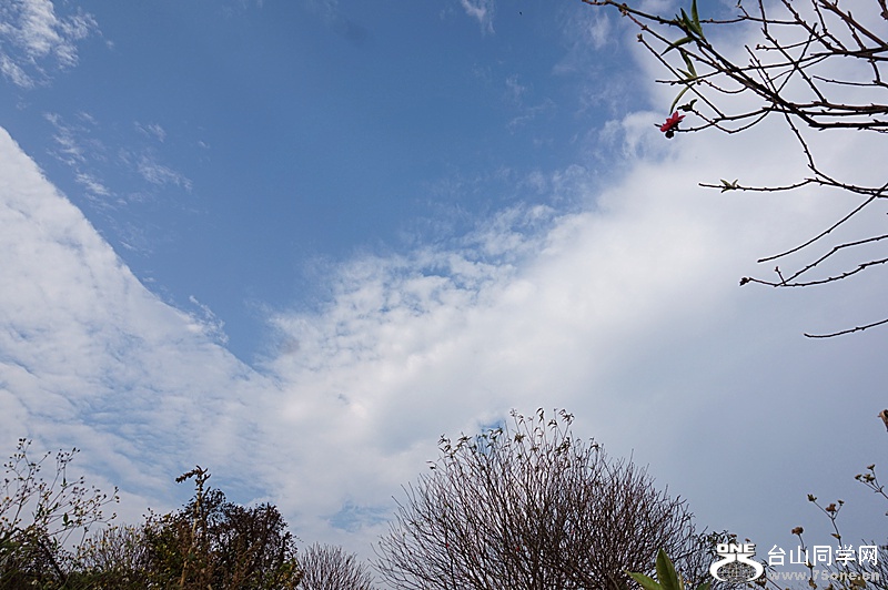 DSC00147.JPG