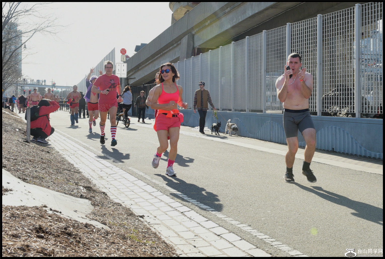 DSC_2005.jpg