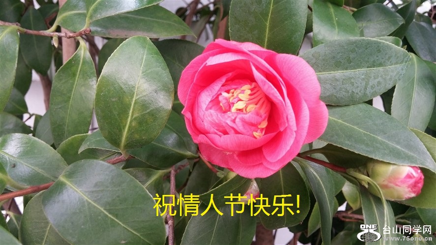 ף˽ڿ!.jpg