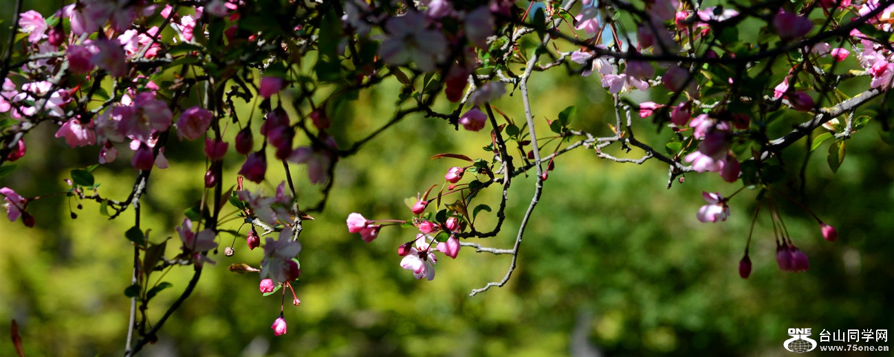 DSC_0008_3.jpg