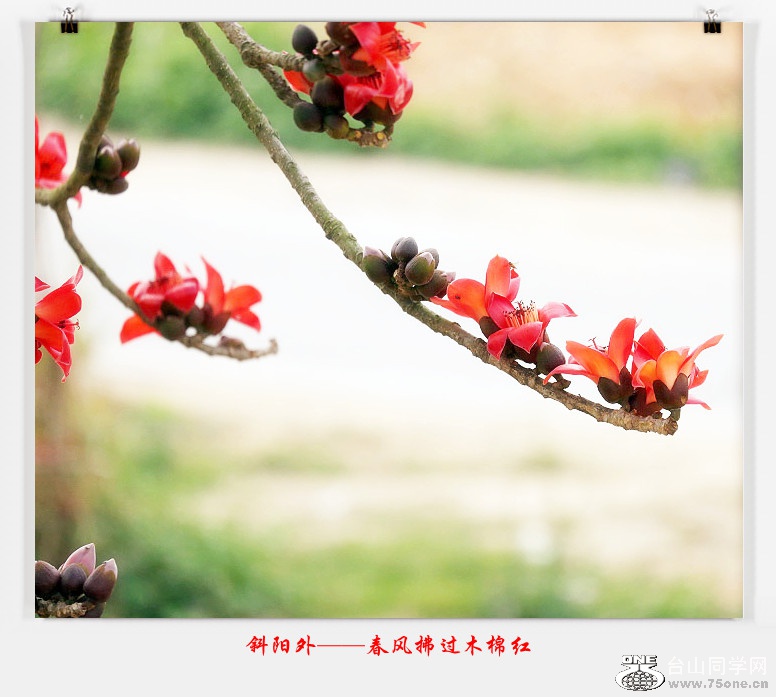 257A06352015.2.25_.jpg