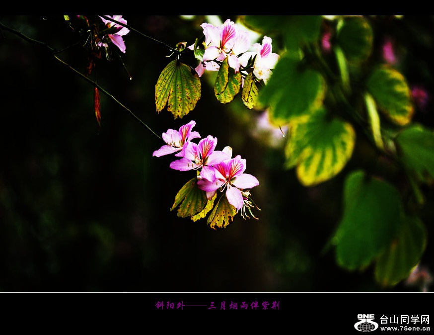 257A09972015.2.25_.jpg