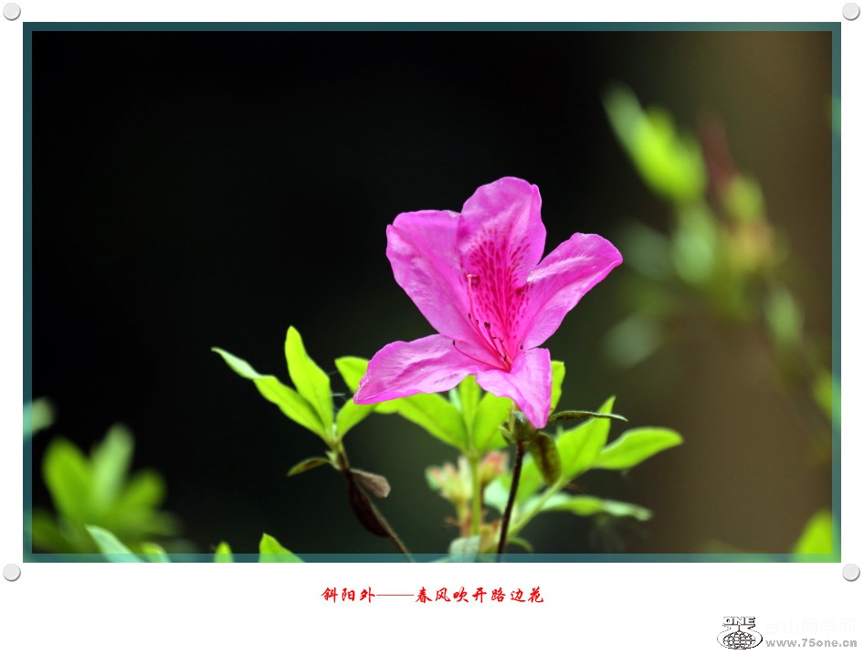 257A96482015.2.25_.jpg