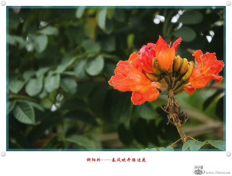 257A91452015.2.25_.jpg