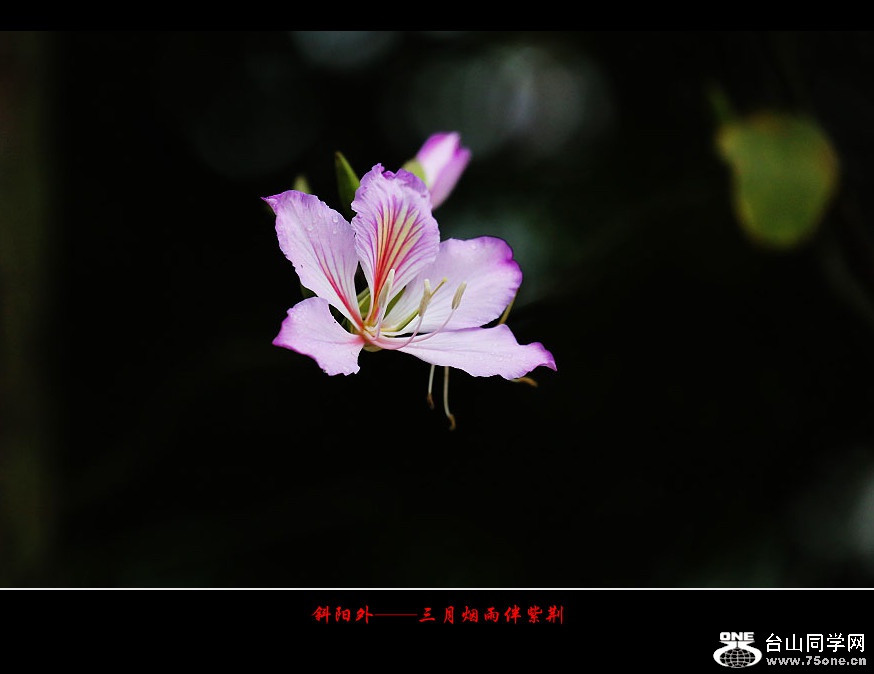 257A13022015.2.25_.jpg