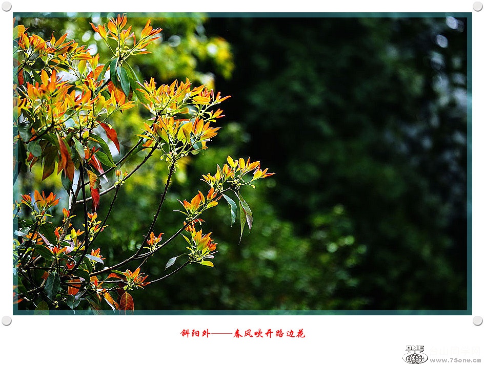 257A96732015.2.25_.jpg